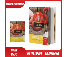蝴蝶对裱画册